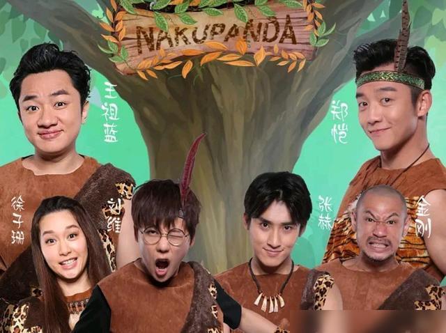 好看的娱乐节目，推荐几部好看的综(强烈推荐好看的综艺)