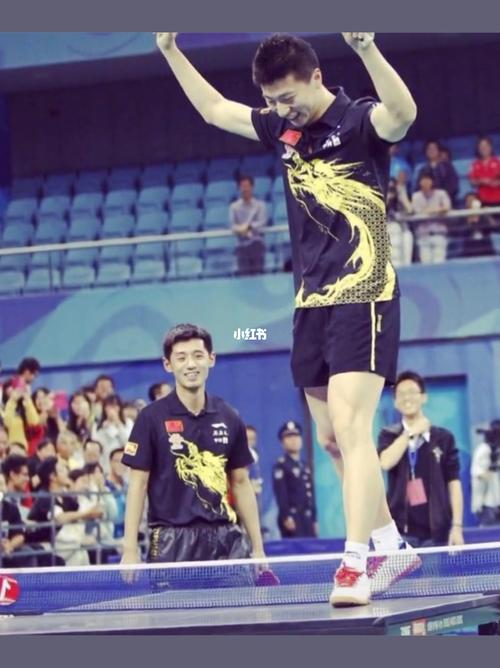 许昕资料个人资料，yu.k.n是(许昕个人简介)