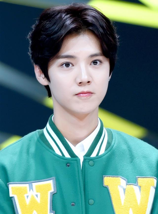 灵超为什么叫didi？灵超和鹿晗很像的对(灵超长的像鹿晗)