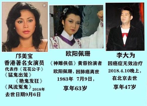 中国自杀明星 元宇宙b