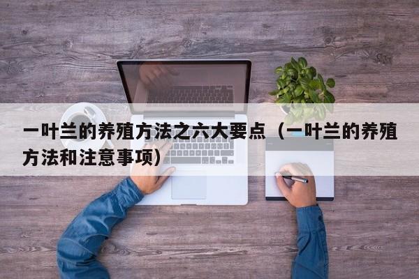一叶兰的养殖方法之六大要点(一叶兰的养殖方法和注意事项)