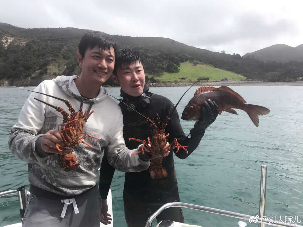 华谊高层涛姬刘韬资料(华谊刘韬袁涛)