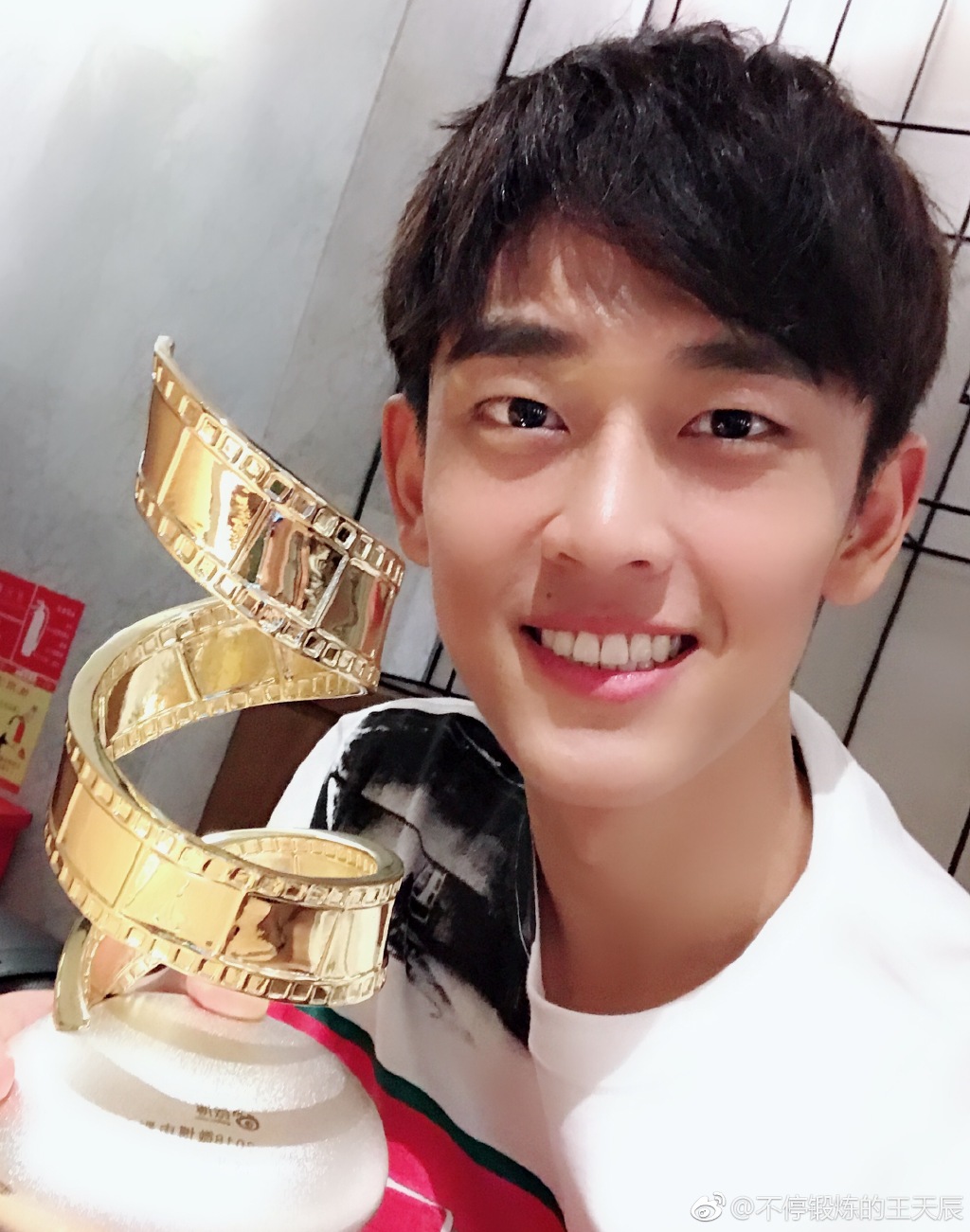 王天辰和魏大勋、郑恺对比照(王天辰魏大勋像不像)