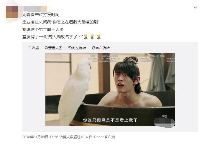 王天辰和魏大勋、郑恺对比照(王天辰魏大勋像不像)