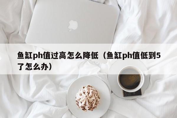 鱼缸ph值过高怎么降低（鱼缸ph值低到5了怎么办） 