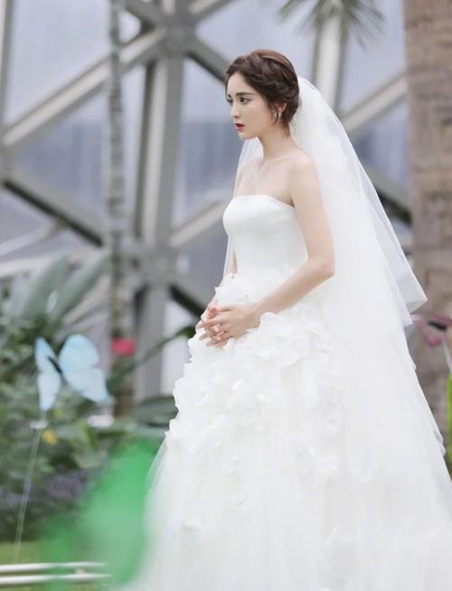明星婚纱照,女明星婚纱造型(明星婚纱造型图片大全)