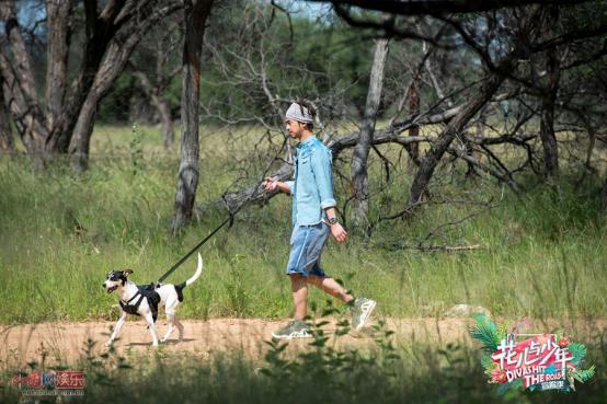 花儿与少年中井柏然亲的是谁？花儿与少年流(花儿与少年杨洋井柏然哪一期)