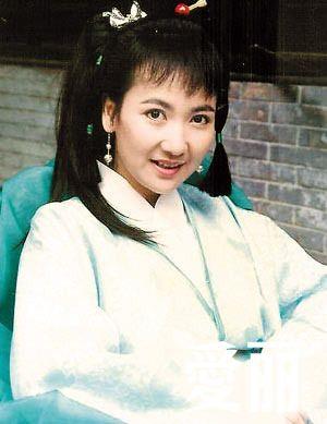 陈美琪为什么不能生育?陈美琪赵雅芝不和真(赵雅芝和陈美琪关系好吗)