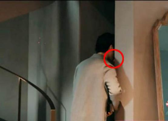 花儿与少年中井柏然亲的是谁？花儿与少年流(花儿与少年杨洋井柏然哪一期)