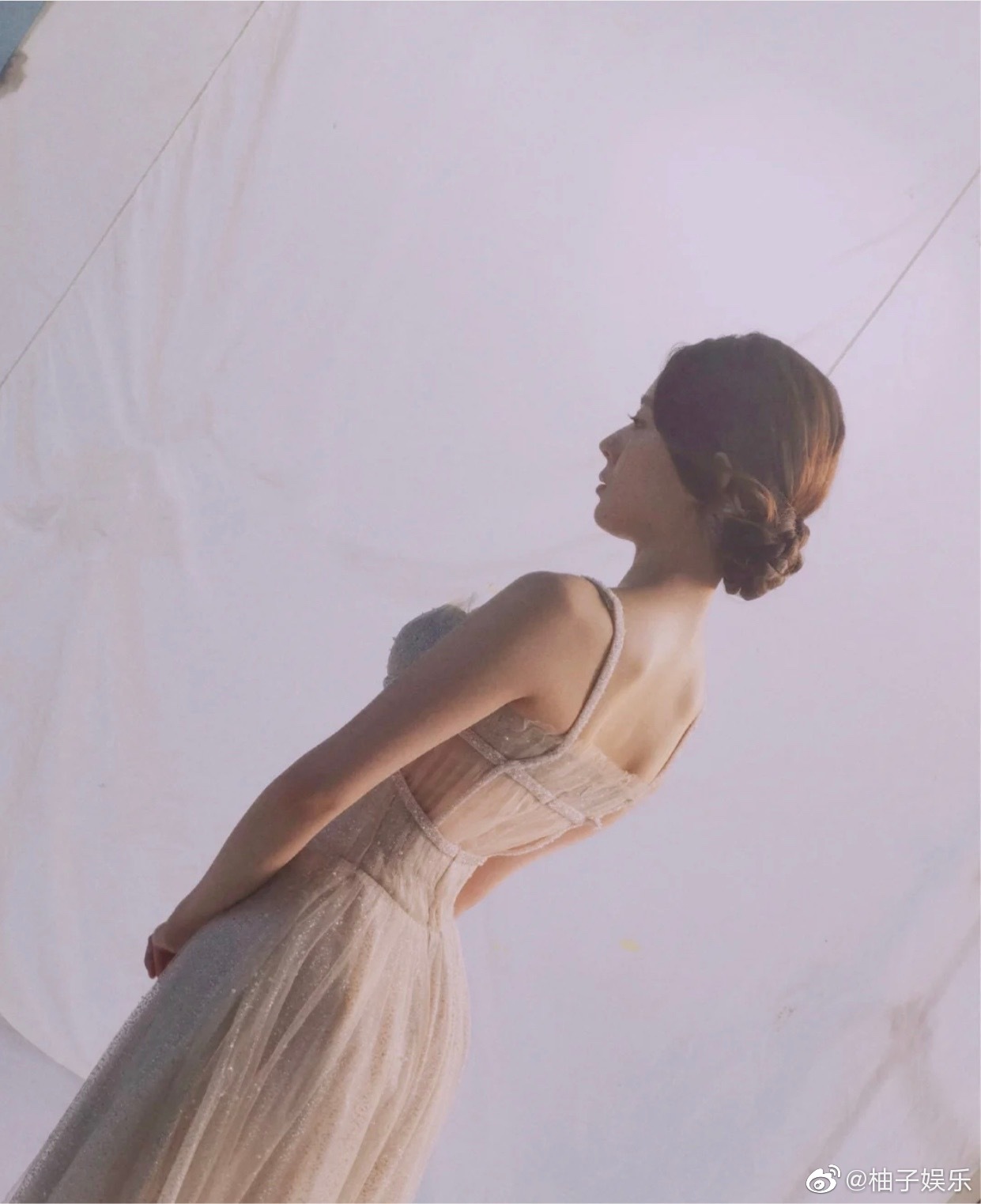 吉娜的胸是不是假的