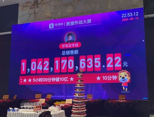 辛有志身价全国排名,辛巴钱多还是(辛巴在中国的身价排名)