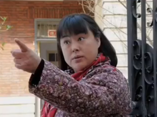 李菁菁主演的电视剧,公认好看的十(李菁菁的电视剧有哪些)