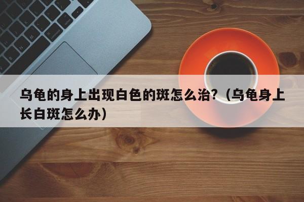 乌龟的身上出现白色的斑怎么治?（乌龟身上长白斑怎么办） 