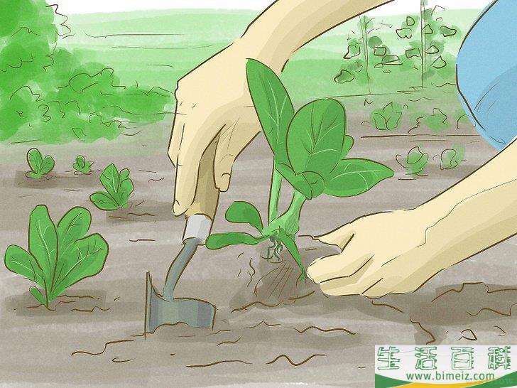 怎么做一个能贡献社会的有用之人(如何做一个有贡献的人) 怎么做一个能贡献社会的有用之人(如何做一个有贡献的人)