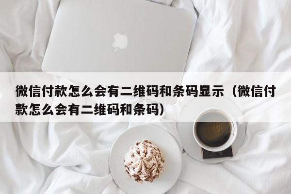 微信付款怎么会有二维码和条码显示（微信付款怎么会有二维码和条码） 