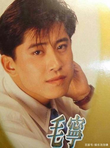 毛宁简历，毛宁的个人资料(毛宁生平简介)