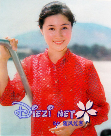 丁岚为什么恨李连杰？丁岚的老公是谁