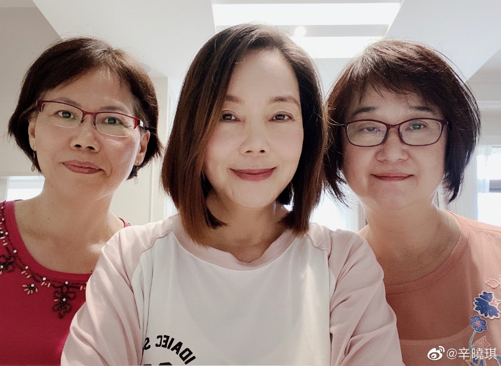 辛晓琪是李宗盛的老婆吗？辛晓琪为什么坐轮(辛晓琪与李宗盛)