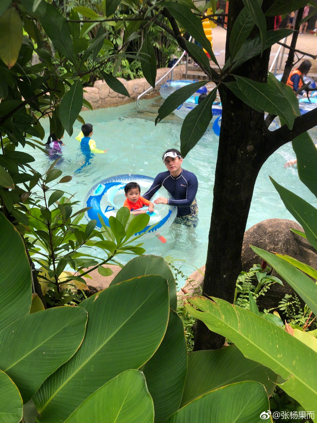 张杨果而为什么名字四个字(张与杨的四个字名字) 张杨果而为什么名字四个字(张与杨的四个字名字)