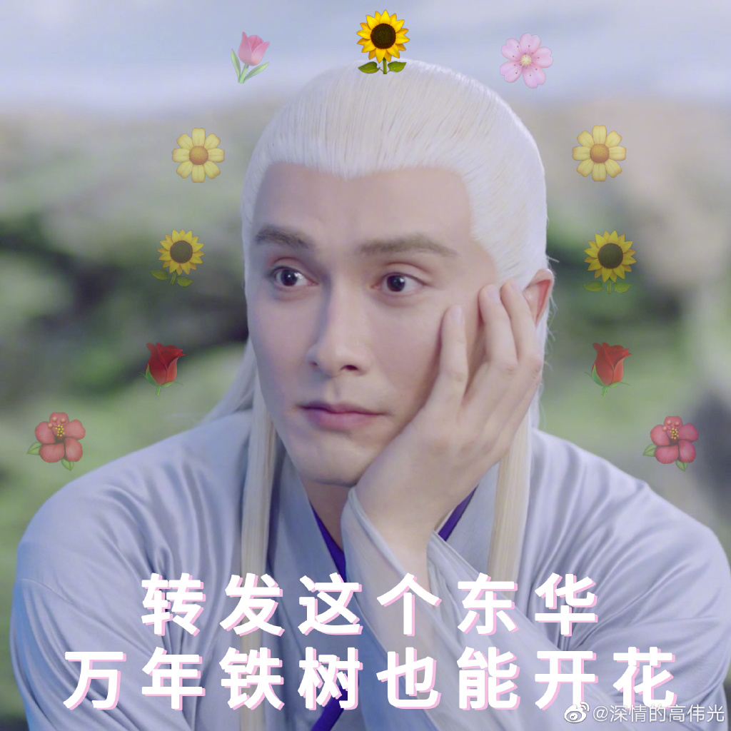 高伟光属于几线演员算一线吗(演员高光伟哪一年的)