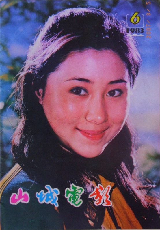 丁岚为什么恨李连杰?丁岚的老公是谁