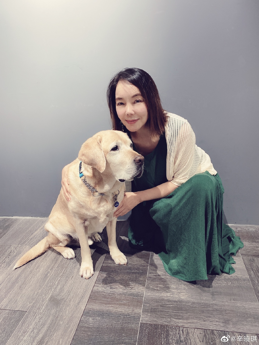 辛晓琪是李宗盛的老婆吗？辛晓琪为什么坐轮(辛晓琪与李宗盛)