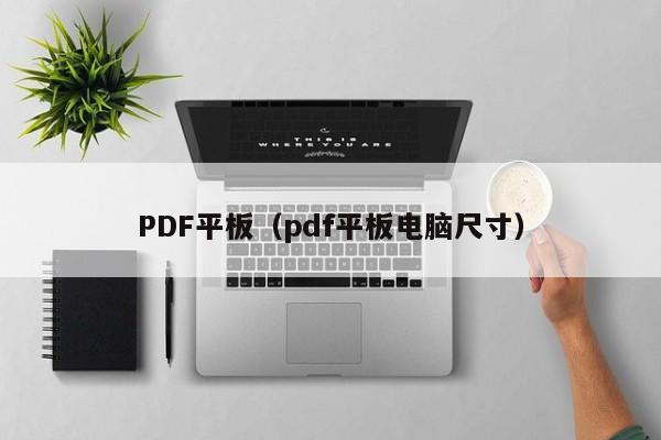 PDF平板（pdf平板电脑尺寸） 