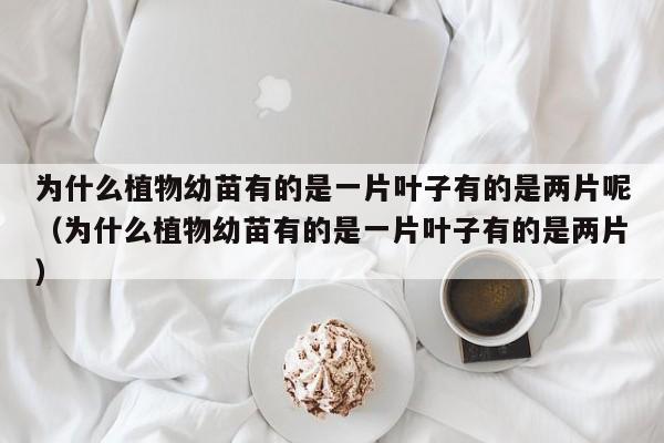 为什么植物幼苗有的是一片叶子有的是两片呢（为什么植物幼苗有的是一片叶子有的是两片） 