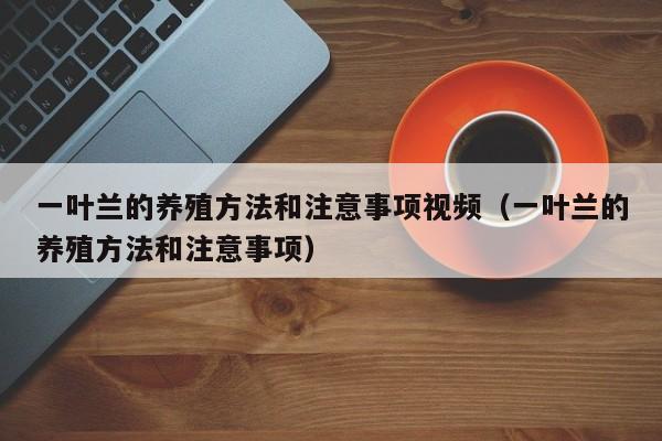 一叶兰的养殖方法和注意事项视频（一叶兰的养殖方法和注意事项） 
