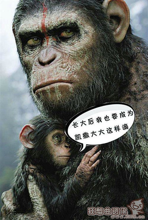 猩球崛起里的猩猩是真的吗？猩球崛起里的凯(猩球崛起里的猩猩叫什么名字)