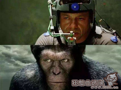 猩球崛起里的猩猩是真的吗？猩球崛起里的凯(猩球崛起里的猩猩叫什么名字)