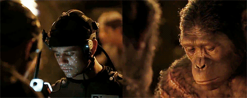 猩球崛起里的猩猩是真的吗？猩球崛起里的凯(猩球崛起里的猩猩叫什么名字)