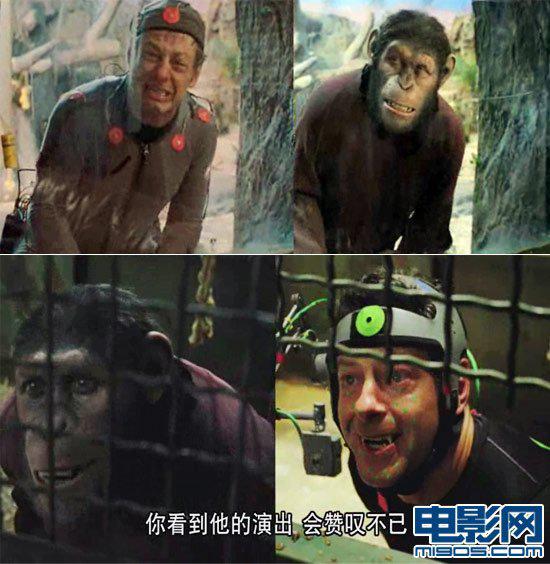 猩球崛起里的猩猩是真的吗？猩球崛起里的凯(猩球崛起里的猩猩叫什么名字)