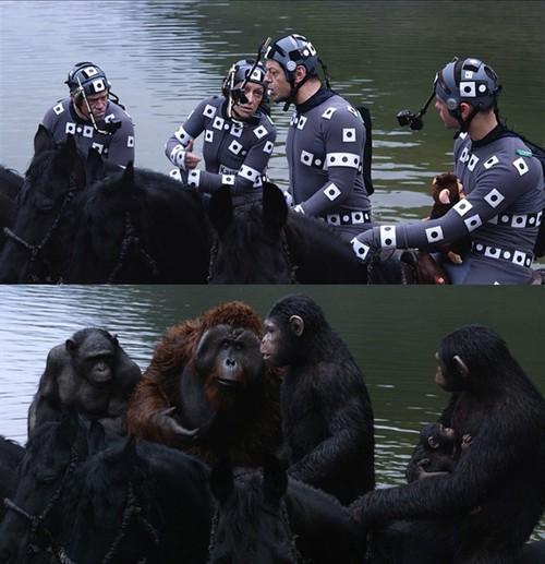 猩球崛起里的猩猩是真的吗？猩球崛起里的凯(猩球崛起里的猩猩叫什么名字)