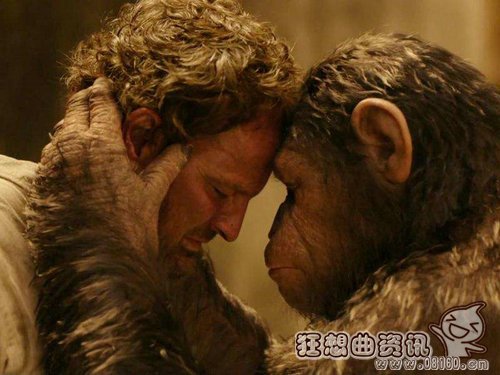 猩球崛起里的猩猩是真的吗？猩球崛起里的凯(猩球崛起里的猩猩叫什么名字)