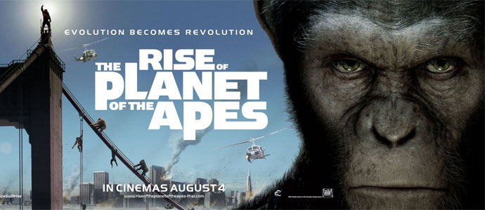 猩球崛起里的猩猩是真的吗？猩球崛起里的凯(猩球崛起里的猩猩叫什么名字)