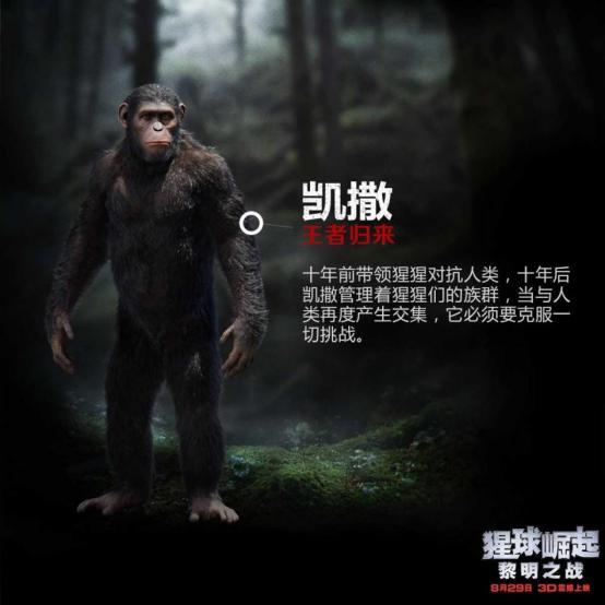 猩球崛起里的猩猩是真的吗？猩球崛起里的凯(猩球崛起里的猩猩叫什么名字)