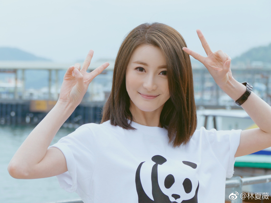 林夏薇老公莫赞生身价多少(林夏薇老公多大)