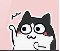 戴菲菲图片，戴竫斐年龄(此人是戴菲菲)