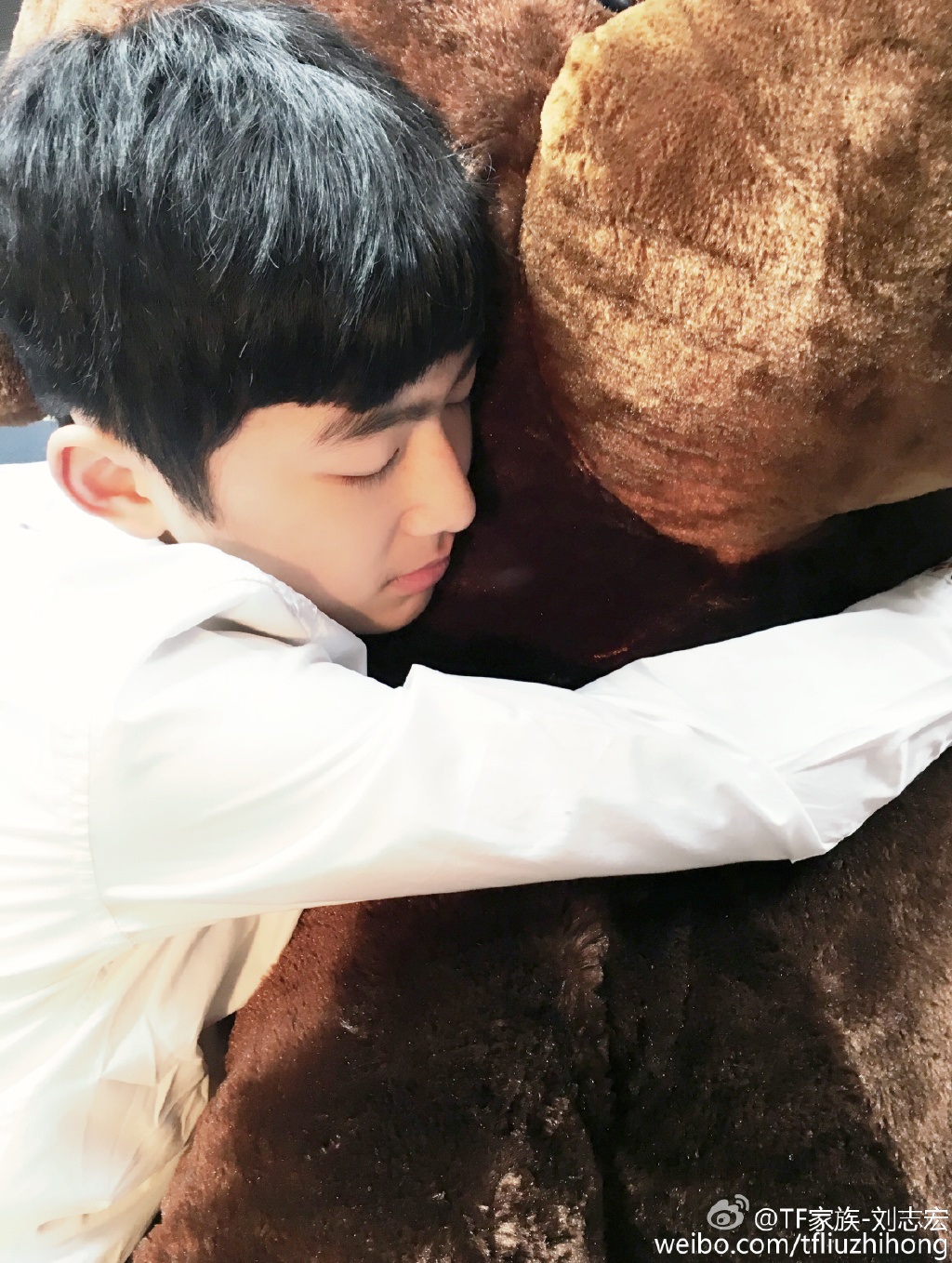 刘志宏现在在干什么现状如何(为什么刘志宏退出)