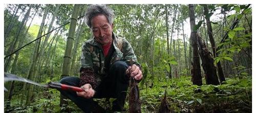 王卓实的老婆，费玉清的老婆叫什么(王玉卓是谁)