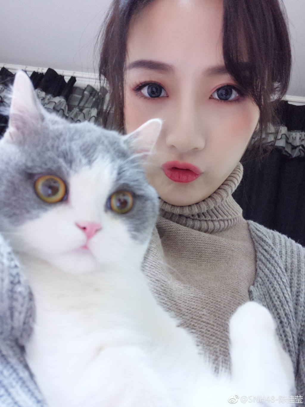 陈佳莹没有入圈还在上班吗(陈佳莹退团了吗)