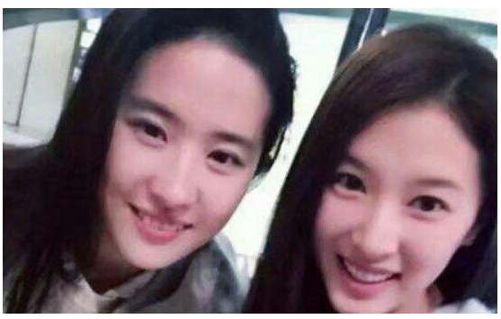 郑爽替身比本尊还美照片(郑爽替身个人资料)