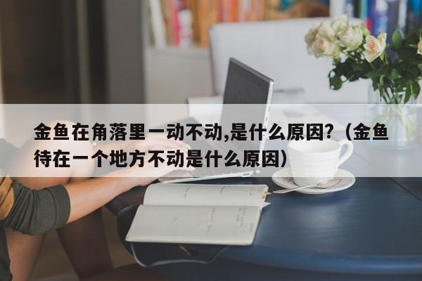 金鱼在角落里一动不动,是什么原因?（金鱼待在一个地方不动是什么原因） 