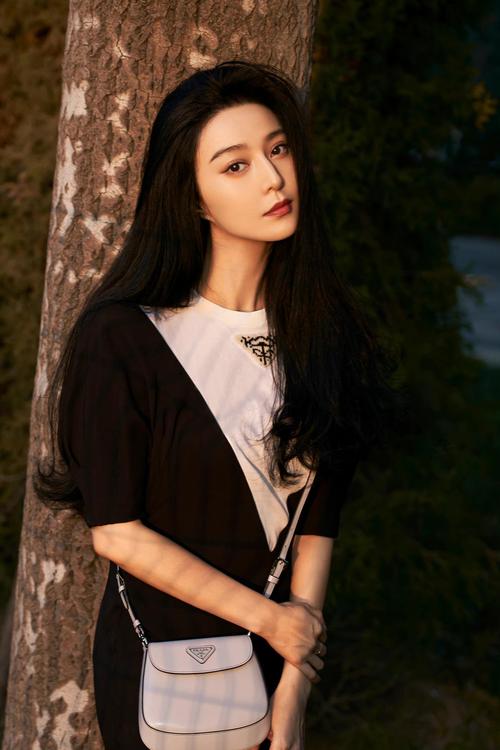 范冰冰ps,范冰冰作品(范冰冰有哪些作品)