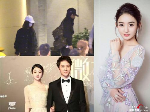 赵丽颖陷害袁姗姗,赵丽颖为什么插(赵丽颖被利用)