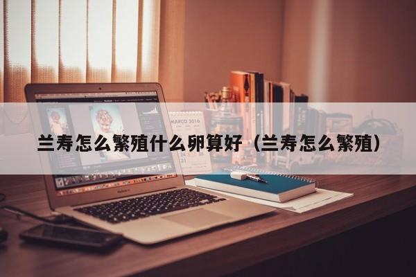 兰寿怎么繁殖什么卵算好（兰寿怎么繁殖） 