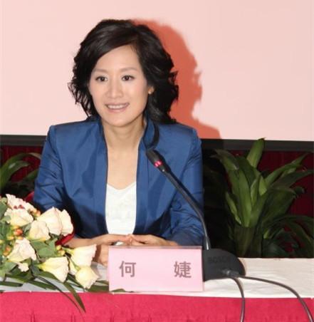 林海老婆,主持人何婕(主持人林海何婕感情出现什么问题)