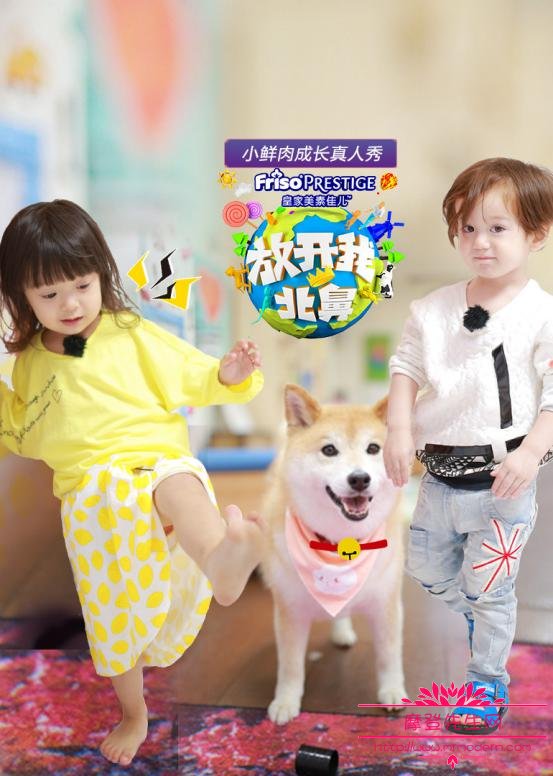 放开我北鼻里面孩子都有谁?揭晓放开我北鼻(放开我北鼻百度百科)