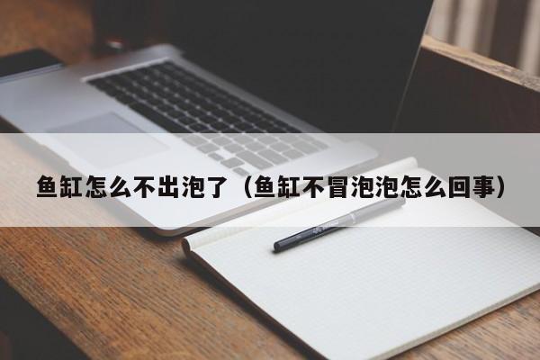 鱼缸怎么不出泡了（鱼缸不冒泡泡怎么回事） 